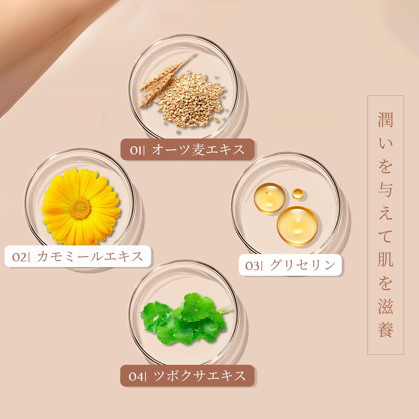 All-Day BB Cream — UV Protection, Tone-Up & Flawless Coverage In One